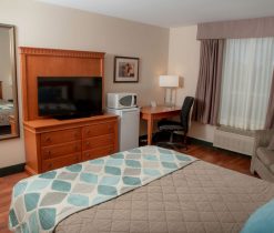 Guestroom with 1 bed