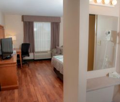 Guestroom with 1 bed