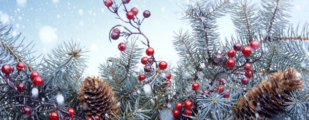 holidaybanner