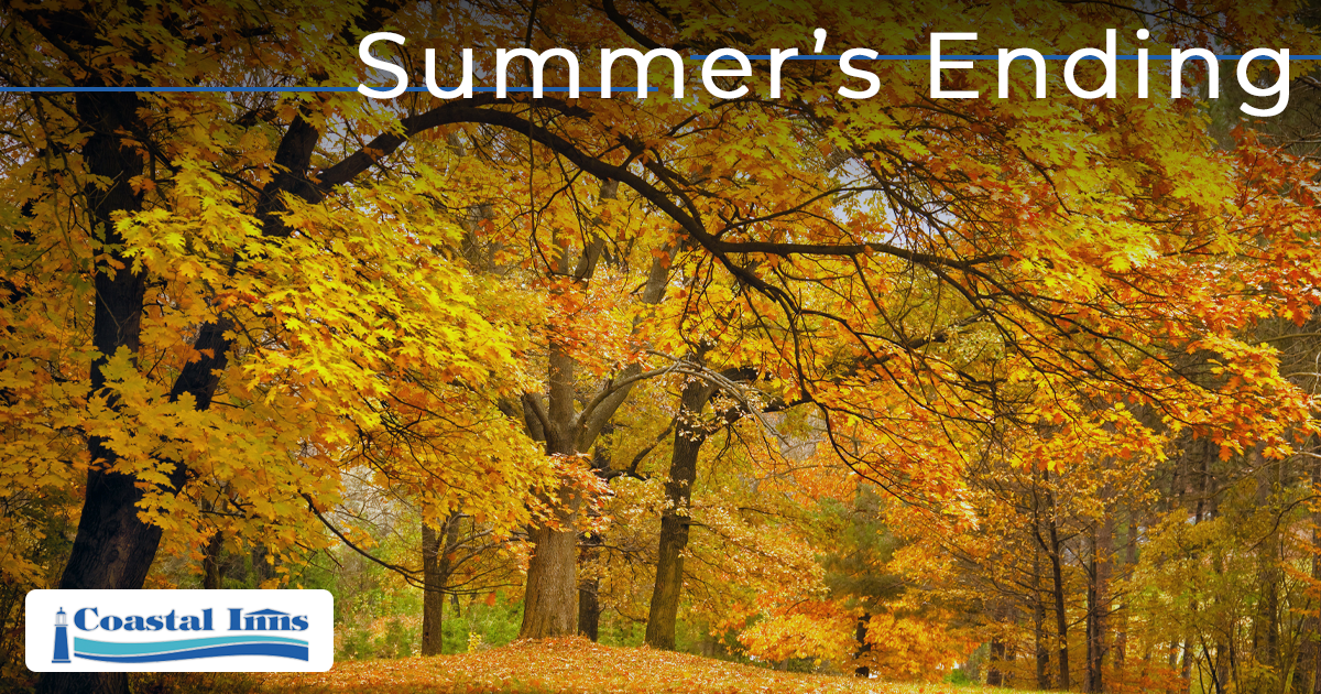 summer’s-ending-share-image