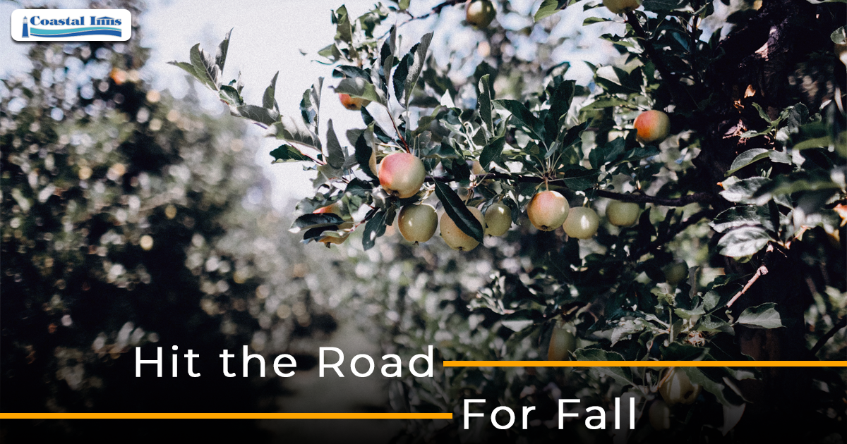 fall-travel-blog-share-image