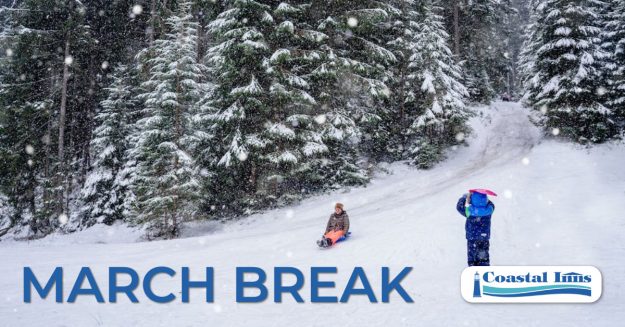 march-break-in-the-maritimes kids sledding down hill during march break