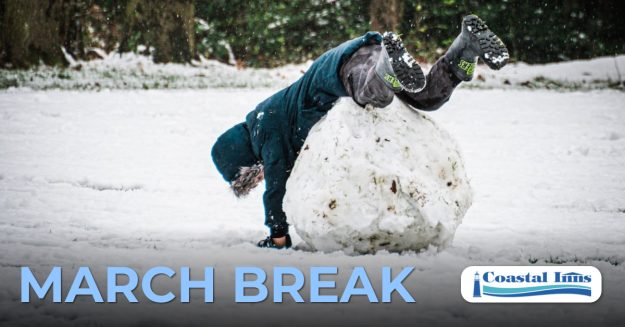 march break-High-Quality