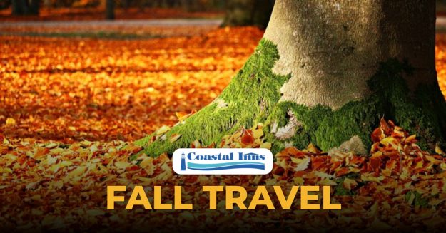 fall travel-High-Quality