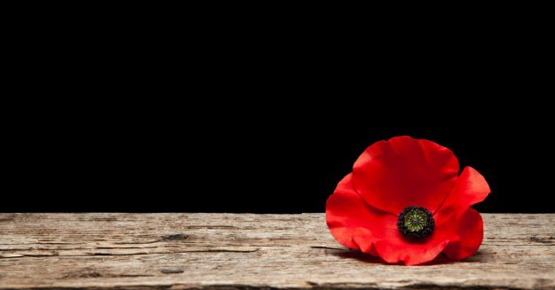 remembrance day-High-Quality