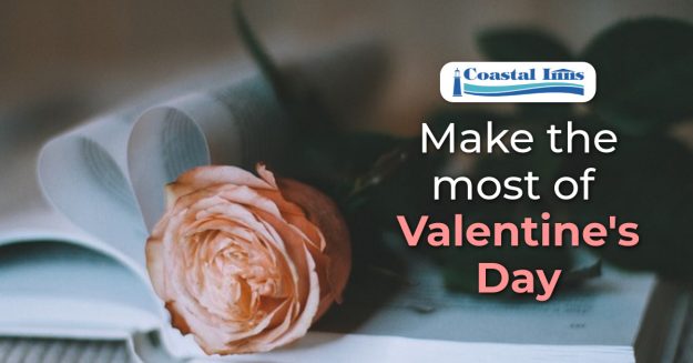 valentine’s day 2025-High-Quality