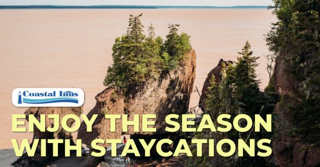 spring copy copy copy-High-Quality