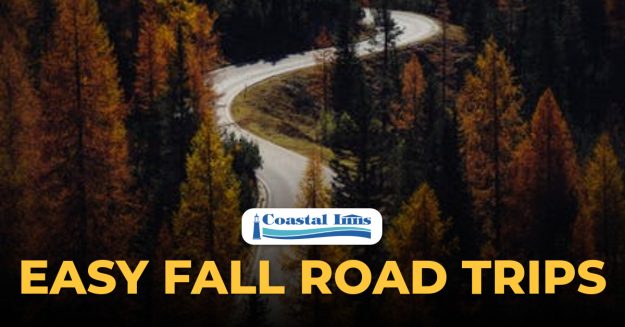 fall road trips-High-Quality