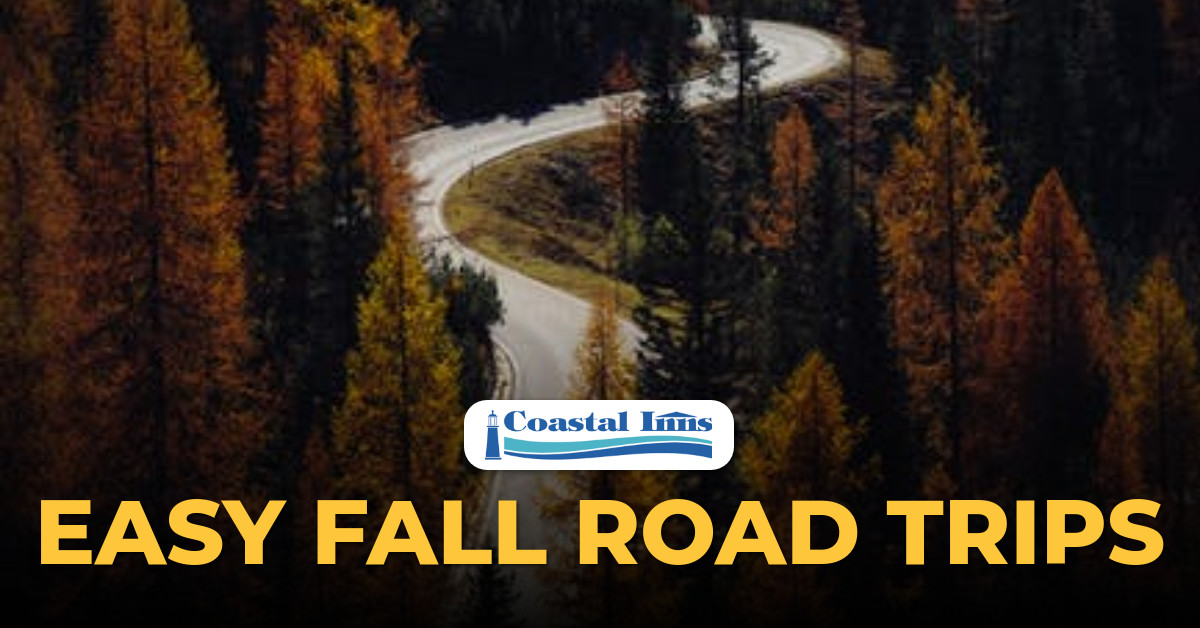 fall road trips-High-Quality
