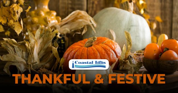 thanksgiving & festive season-High-Quality