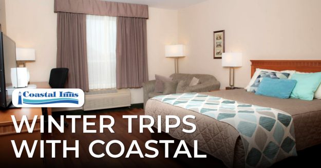 coastal-inns-guestroom copy (1) copy copy (1)-High-Quality