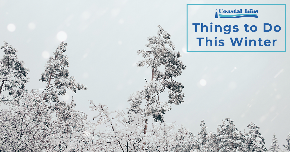Things To Do This Winter - Coastal Inns - Halifax Moncton Dieppe Dartmouth Sackville Antigonish Digby Hotels