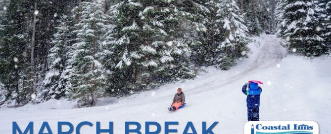 kids sledding down hill during march break