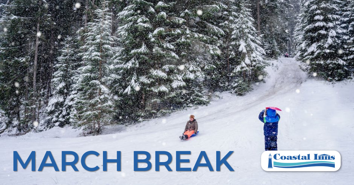 kids sledding down hill during march break