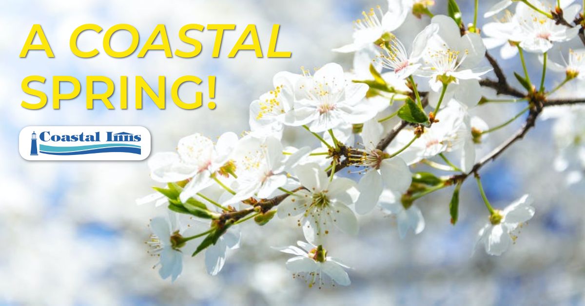 "a coastal spring" banner promoting spring travel in atlantic canada with coastal inns hotels