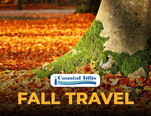 Experience Authentic Maritime Hospitality This Fall: Your Cozy Retreat on the Road