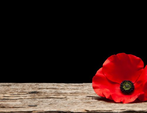 Honouring Remembrance Day: A Time to Reflect and Give Thanks