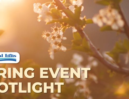 Spring in Bloom: Festivals, Flavours, and Fresh Air