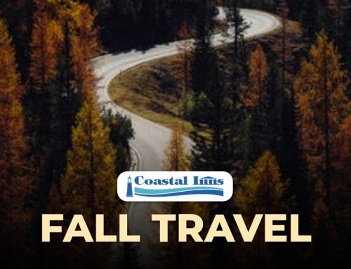 Fall Road Trips: Quiet Season Charm Across Atlantic Canada
